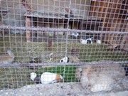 Výlet do Ekocentra MB - Spižírna